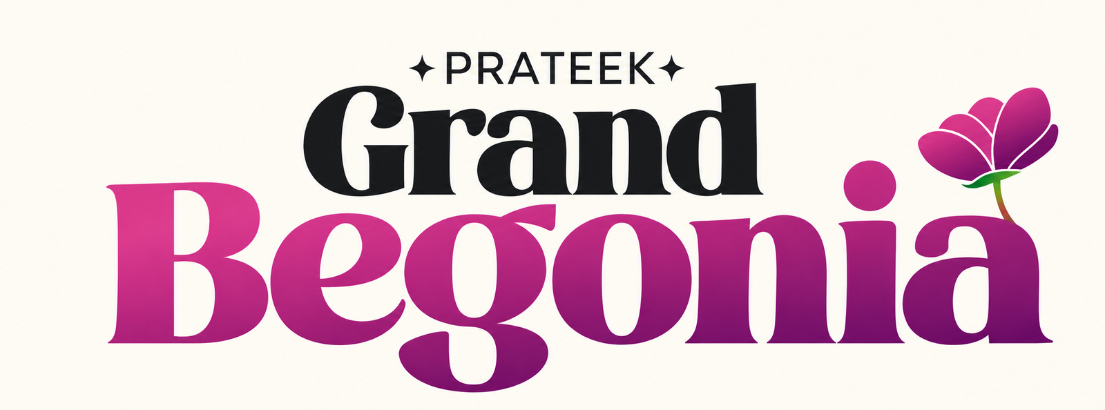 Prateek Grand Begonia
